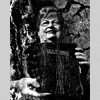 Fundamental Consumption thumbnail